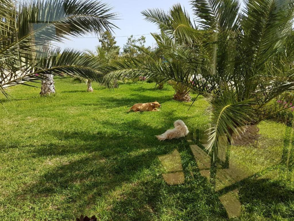 Les Jardins De Mogador Yoga Et Spa エッサウィラ エクステリア 写真