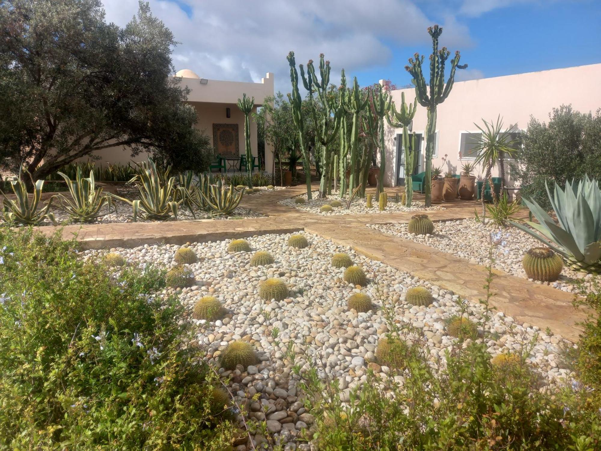 Les Jardins De Mogador Yoga Et Spa エッサウィラ エクステリア 写真